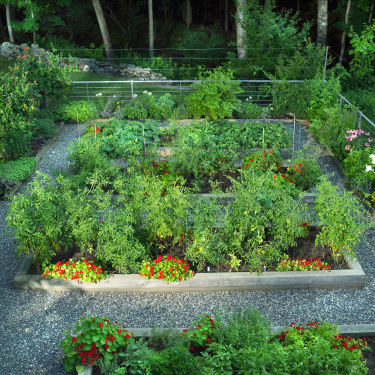 garden