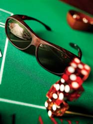 Live Eyewear