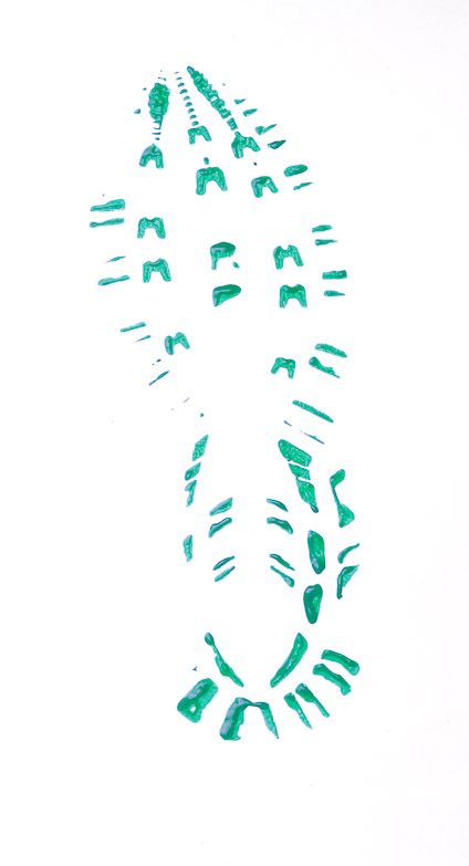 greenfootprint
