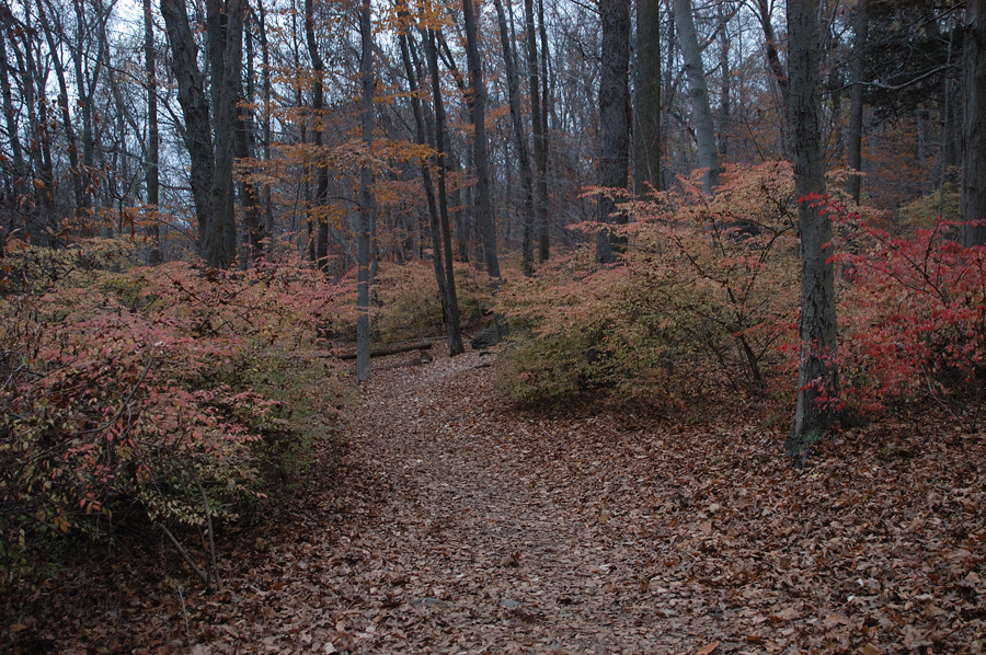 NH_Bartrc_Lake M_004