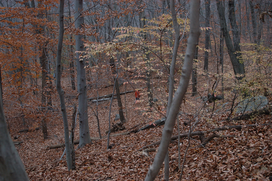 NH_Bartrc_Lake M_012