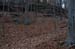 NH_Bartrc_Lake M_013