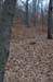 NH_Bartrc_Lake M_018