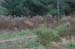 NH_Bartrc_Lake M_023