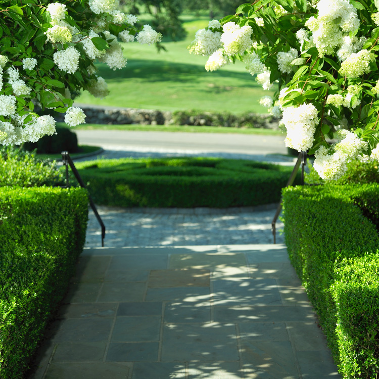 entry walk 2