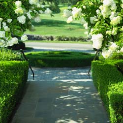 entry walk 2
