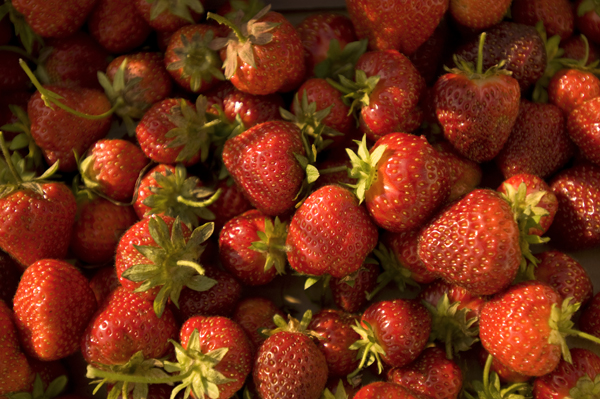 berrypick_tight