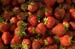 berrypick_tight