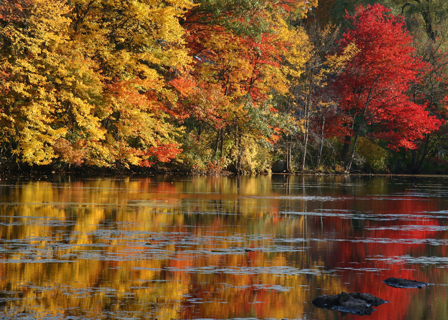 Charles in fall 3