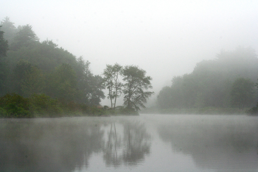 Charles in mist