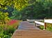Boradmoor boardwalk