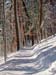 Path