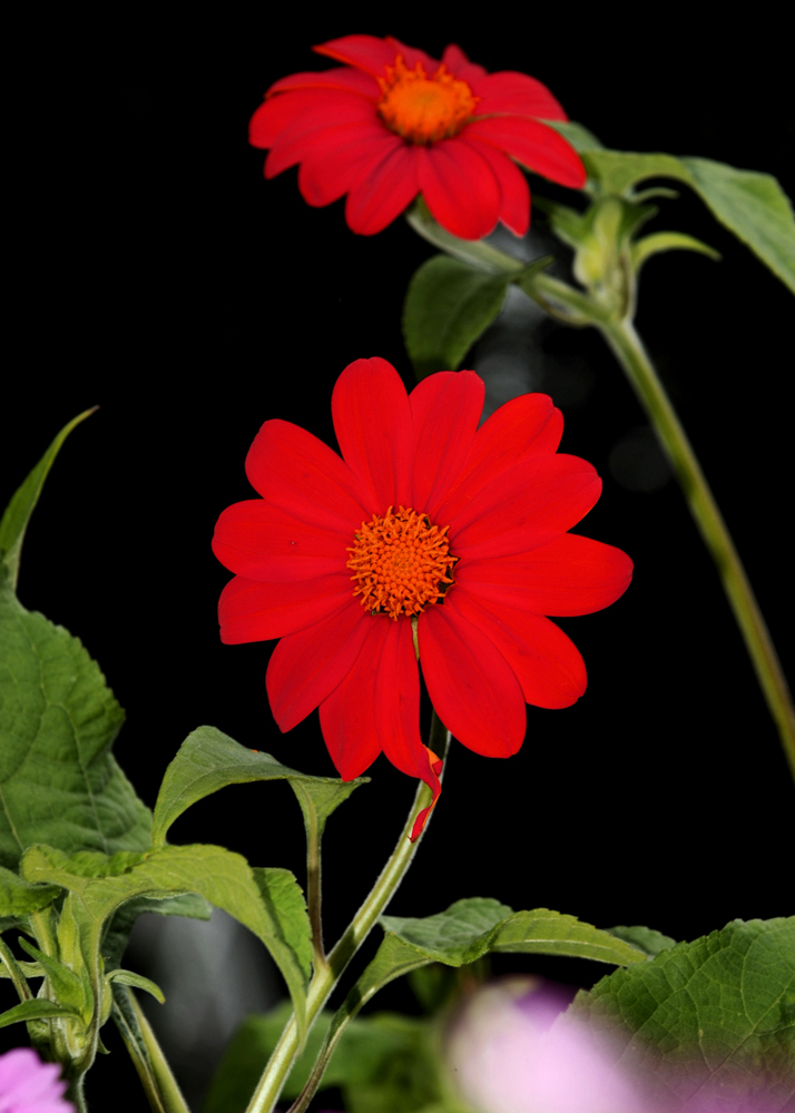 20090830_25
