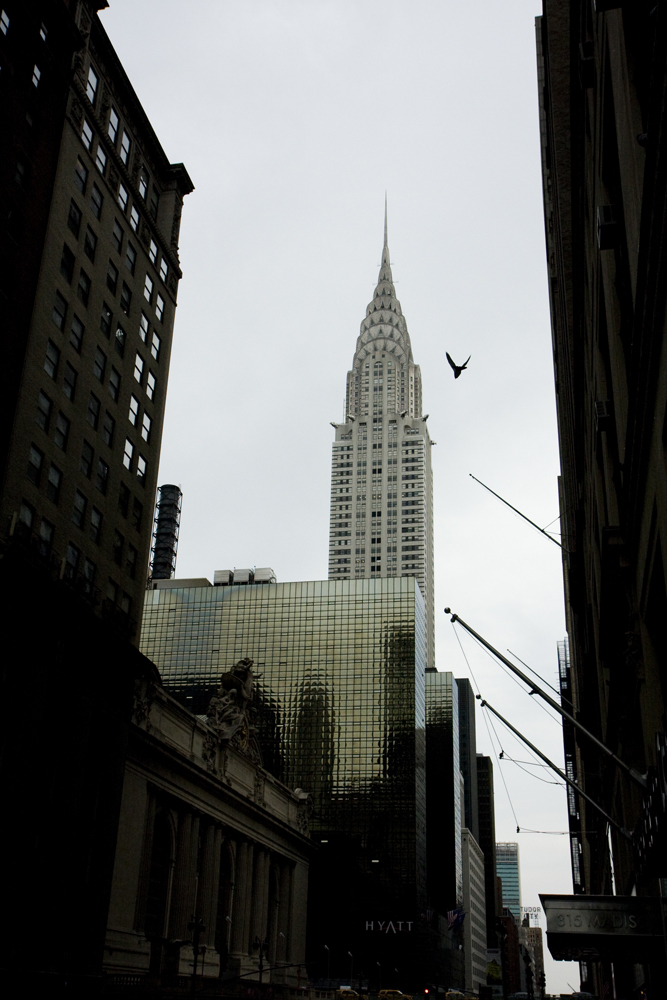 FPO__MG_9709