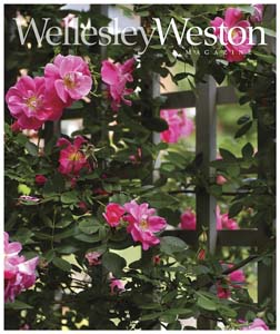 wwm.cvr_spring07.7