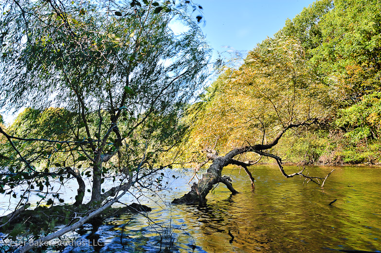 Longfellow Pond 1