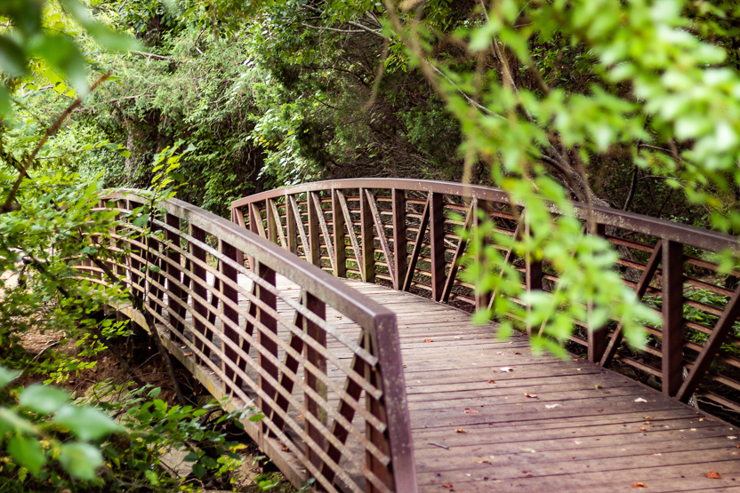 bridge-4442469