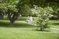 watermark_244