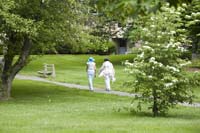 watermark_264