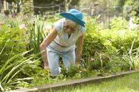 watermark_344